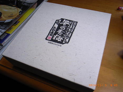 141104toyonokoubai.JPG