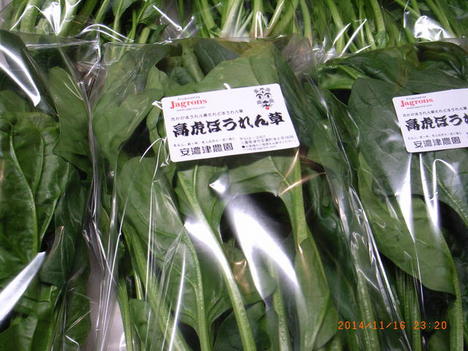 141117takatora02.JPG