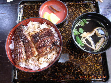 141117unagi.JPG