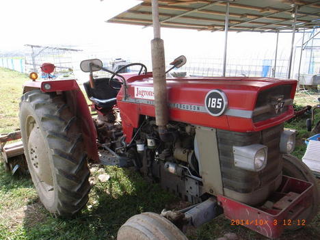 141119mf185.JPG