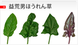 �v�r�j�ق����