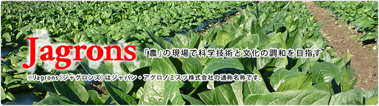 【Jagrons(ジャグロンズ)】科学技術体系から生まれた本当のほうれん草の味
